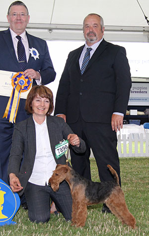 Ms J Byrne Eskwyre A Dash Of Class with group judge Mr T Mather & Mr S Irving (Show Manager) 