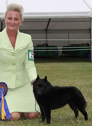 Zwoferink, Penatello, McLachlan & Carter Multi Ch Beachviews Oops I Did It Again (Imp USA)