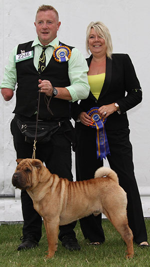 Mr & Mrs A D & H K Morris Ch Ashowai Ready To Rock JW Sh.CM