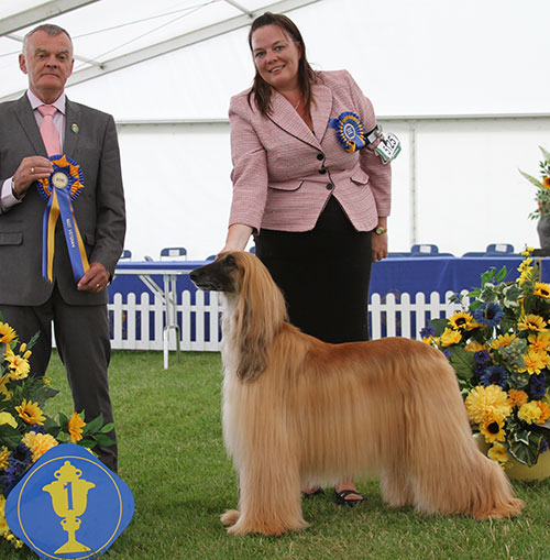 Mr D & Mrs G Chadwick & Mrs E Millard Ch Int Ch Afterglow Jezebel Of Sofico with BVIS judge Mr E Paterson