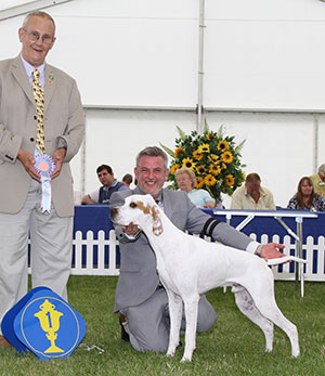 Mrs & Miss A Siddle, Mr B Crocker & M Gardner Wilchrimane Up To Tricks with puppy group judge Mr B Reynolds-Frost