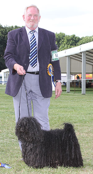 Mr J & Mrs M Whitton Ch Int Ch Lux Ch Zaydah Don't Stop Me Now At Vaucl 