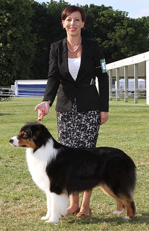 Miss M Spavin Ch & Croat Jun Ch Hearthside Man Of Mystery At Dia 