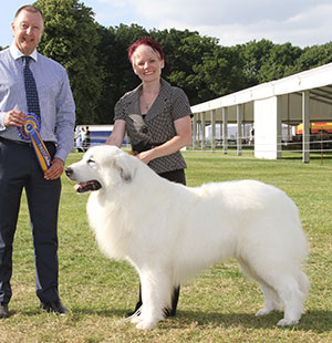 Mrs C Kenyon & Mr A J Ward Ch Charibere Simply Special At Chezanna JW Sh.CM