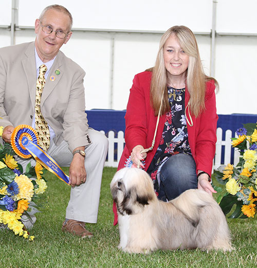 Mrs A G O'Docherty Marnbri Tiger Lily Under Autumnspell with RBPIS judge Mr B Reynolds-Frost