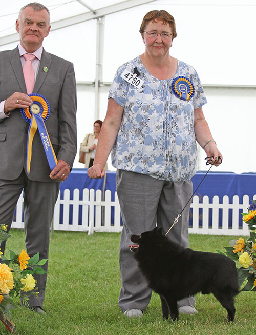 Mrs J S Mance Ch Schipdale Orlando with BVIS jugde Mr E Paterson