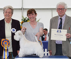 Miss M Burns & Mrs A Burns Burneze Billie On Air with group judge Mrs E Cartledge & Mr D S Wade (Committee) 