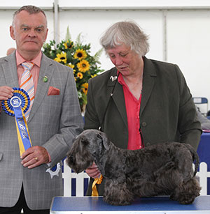 Mrs S M Atter Multi Int Ch Ridley Pamatka Sh CM with veteran group judge Mr E Paterson