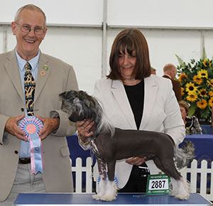 Mrs T Dixon Debrita Don't Stop Me Now with puppy group judge Mr B Reynolds-Frost