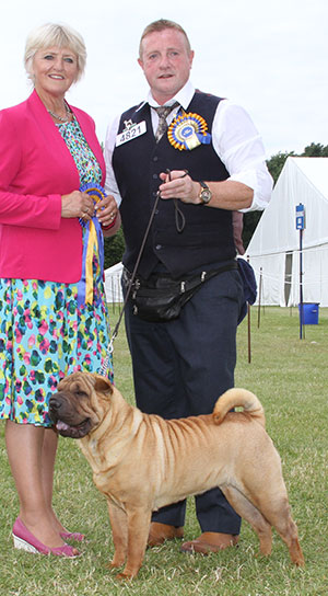 Mr & Mrs A D & H K Morris Ch Ashowai Taste Of Diamonds JW Sh.CM with group judge Mrs P Hollings