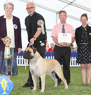 Ms R Oma & Mr W Warren Ch & Aust Ch Costag Mompessons Home Bru with group judge Mrs E Cartledge, Ms M Medlam (Committee) & Mr P Allen (Committee)