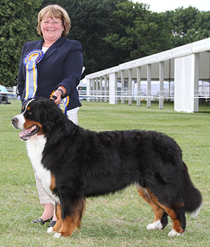 Mrs B Mair, Mrs C Hartley-Mair & Mr G Dybdall Ch Meadowpark High Class