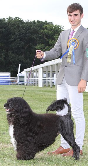 Ms L G Newton Can Gr Ch UK Multi Ch Hi Seas Dr Romeo Macduff 