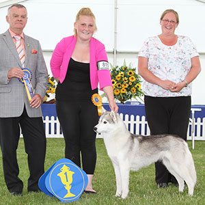 Mrs P Taylor & Mrs H Taylor-Morris Ch Siberiaskye Brite Borealis Of Pelenrise JW Sh CM with veteran group judge Mr E Paterson