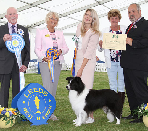 Miss P Hales Laceway Lone Ranger JW with BIS judge Mr J Bispham, Mrs E Stannard (Secretary) & Mr S Irving (Chairman)
