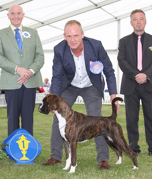 Mr M Griffiths Lanfrese Limelight with BPIS judge Mr D Guy & Mr P Allen (Committee) 