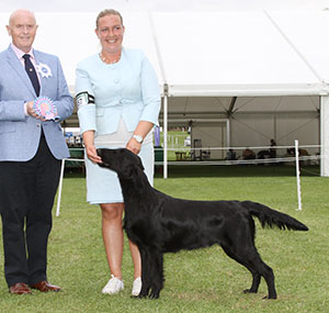 Mesdames C Lundqvist & C Ostman & Mr M Persson Caci's Mr Perfekt with puppy group judge Mr D Guy