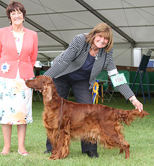 Ms M Hunter & Mr W Brown Sh Ch Int Ch Fairhaven Louise Mountbatten At Braid with veteran group judge Mrs J Ward