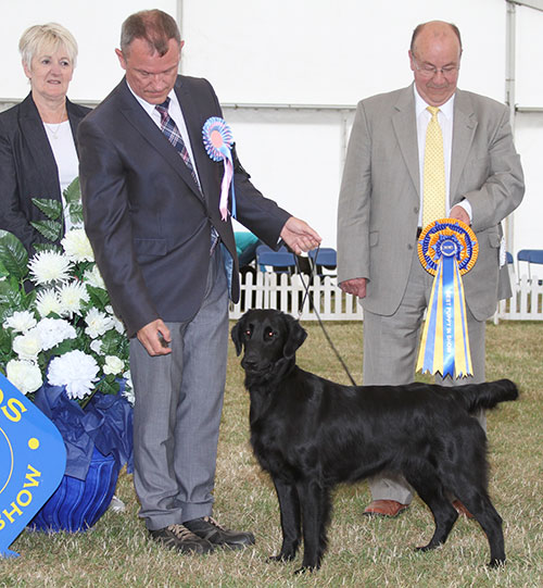 Ms K Anderson Feldkirk Dior Of Kazval TAF with BPIS judge Mr K Nathan & Miss A Summers (Vice Chairman) 