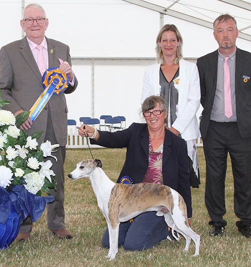 Miss J Wilton-Clark Ch Shalfleet Simply A Lord with BVIS judge Mr D Smith, Ms N Medlam (Treasurer) & Mr P Allen (Committee) 
