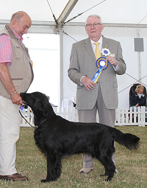 Mrs R F Douglas Sh Ch Greenbayhill Black Tuxedo with veteran group judge Mr D Smith 