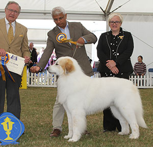 Nagrecha, Mattisson-Sandstrom & Sandstrom Ch Viskalys My Way Or No Way To Chandlimore (Imp) with group judge Mr W R Irving & Mrs L Brown (Committee)