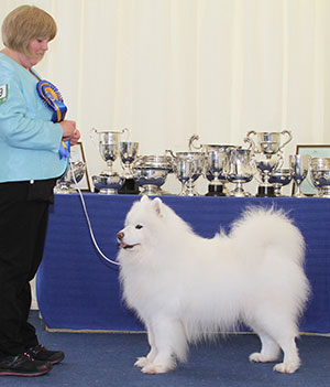 Mrs C A Sinclair Farumach's Cool Breeze