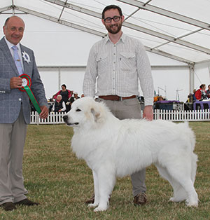 Mr P Dickson Kalkasi Fields Of Gold with spbeg judge Mr S Plane