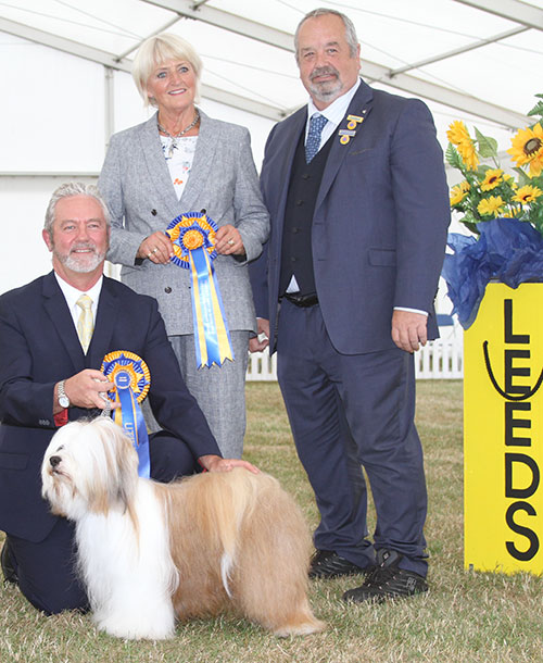 Mr N S Smith & Ms J Hadlington Ch Tetsimi Moves Like Jagger with BIS judge Mrs P Hollings & Mr S Irving (Show Manager) 