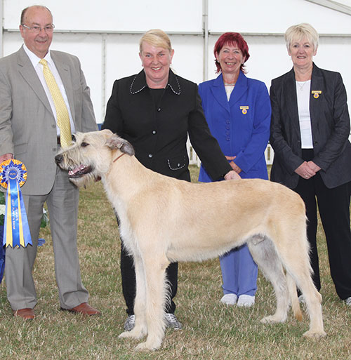 Mrs S Dawson Austonley's Falcon Of Shalico with BPIS judge Mr K Nathan, Mrs S Virgo (Chief Steward) & Miss A Summers (Vice Chairman) 