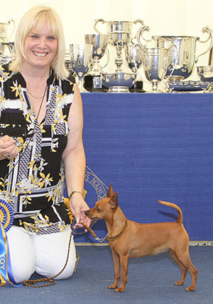 Mr T J & Mrs J P Shepherd Ch Shetopa's Kiwi Crush JW Sh.CM