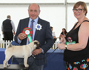 Ms M Reid Bubbapug Mamma Mia with spbeg group judge Mr S Plane