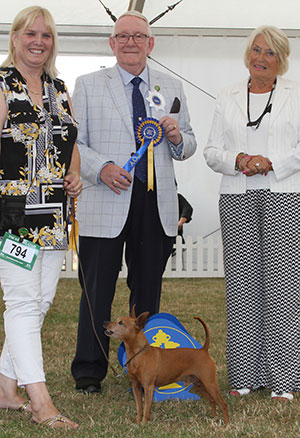 Mr M T & Mrs J P Shepherd Ch Shetopa King Of Arabia JW Sh CM with veteran group judge Mr D Smith & Mrs E Stannard (Secretary) 