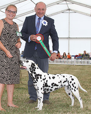 Miss E Chattaway Shydally's Dahila with spbeg judge Mr S Plane