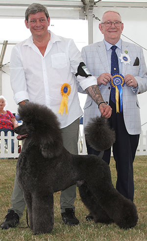 Mrs C Furley Ch Somanic Style By Design At Clanese with veteran group judge Mr D Smith 