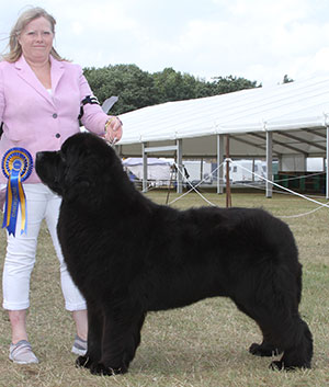 Mrs Woodhall Wyrleybears Peter Pan For Bearhugs JW