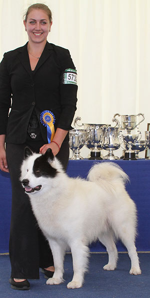 Miss Y Needham Can Ch Arcticice Qimmiq Jasper With Innugati (Imp)