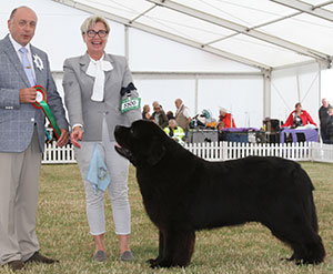 Mrs J Ryan Newfangled Shenanigans with spbeg judge Mr S Plane