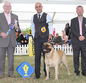 Mr P J Myres & Miss D Morgan Ch Old Manila's Whisky Mac For Optimus JW with veteran group judge Mr D Smith & Mr P Allen (Committee)