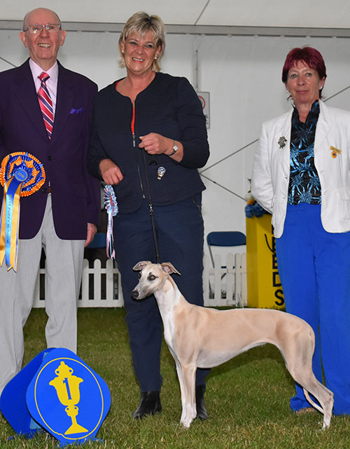 Mrs L Yacoby-Wright Cobyco Cover Girl with BPIS judge Mr A Wight & Mrs S Virgo (Chief Steward) 