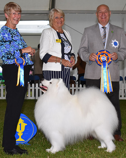 Mrs V Freer & Mrs S Smith Ch Nikara Diamond Dancer JW with BVIS judge Mr D Killilea & Mrs E Stannard (Secretary)