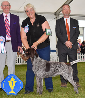 Miss S Pinkerton Bareve By The Book with puppy group judge Mr A Wight & Mr P Allen (Committee)