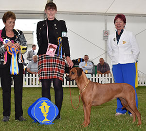 Mrs J E Larkin Rubicon Red Do The Right Thing Royaal Pearl (Imp) with group judge Mrs J Peak & Mrs S Virgo (Chief Steward)