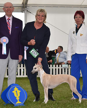 Mrs L Yacoby-Wright Cobyco Cover Girl with puppy group judge Mr A Wight & Mrs S Virgo (Chief Steward)