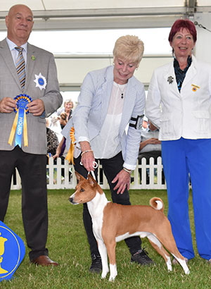 Mrs E Grayson Ch & Int Ch Tokaji American Gigolo at Embeau JW Sh with veteran group judge Mr D Killilea & Mrs S Virgo (Chief Steward) 