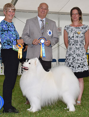 Mrs V Freer & Mrs S Smith Ch Nikara Diamond Dancer JW with veteran group judge Mr D Killilea & Ms N Medlam (Treasurer)