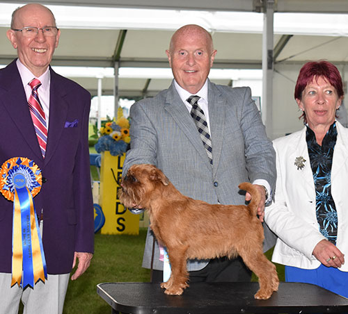 Mr D Guy Donzeata Royal Viscount with BPIS judge Mr A Wight & Mrs S Virgo (Chief Steward)