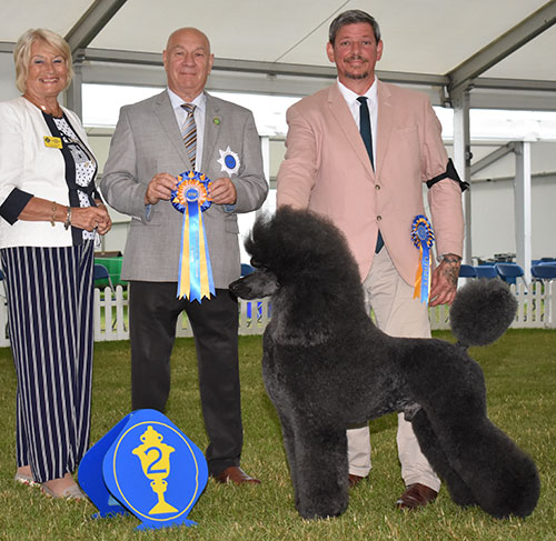 Mrs C Furey Ch Somanic Style By Design At Clanese with BVIS judge Mr D Killilea & Mrs E Stannard (Secretary)