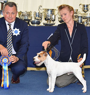 Mrs K Smith & Misses J & A Smith Ch Heythrop Task Master for Alncroft with group judge Mr D Shields