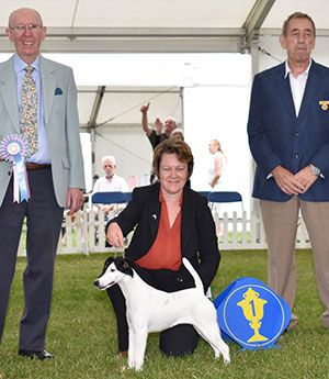 Mr J & Miss E Hannar Borovale Nameri with puppy group judge Mr A Wight & Mr M Virgo (Committee)